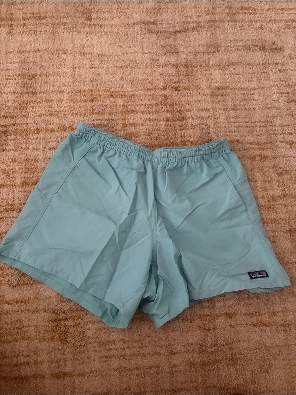 Patagonia 5 inch baggies